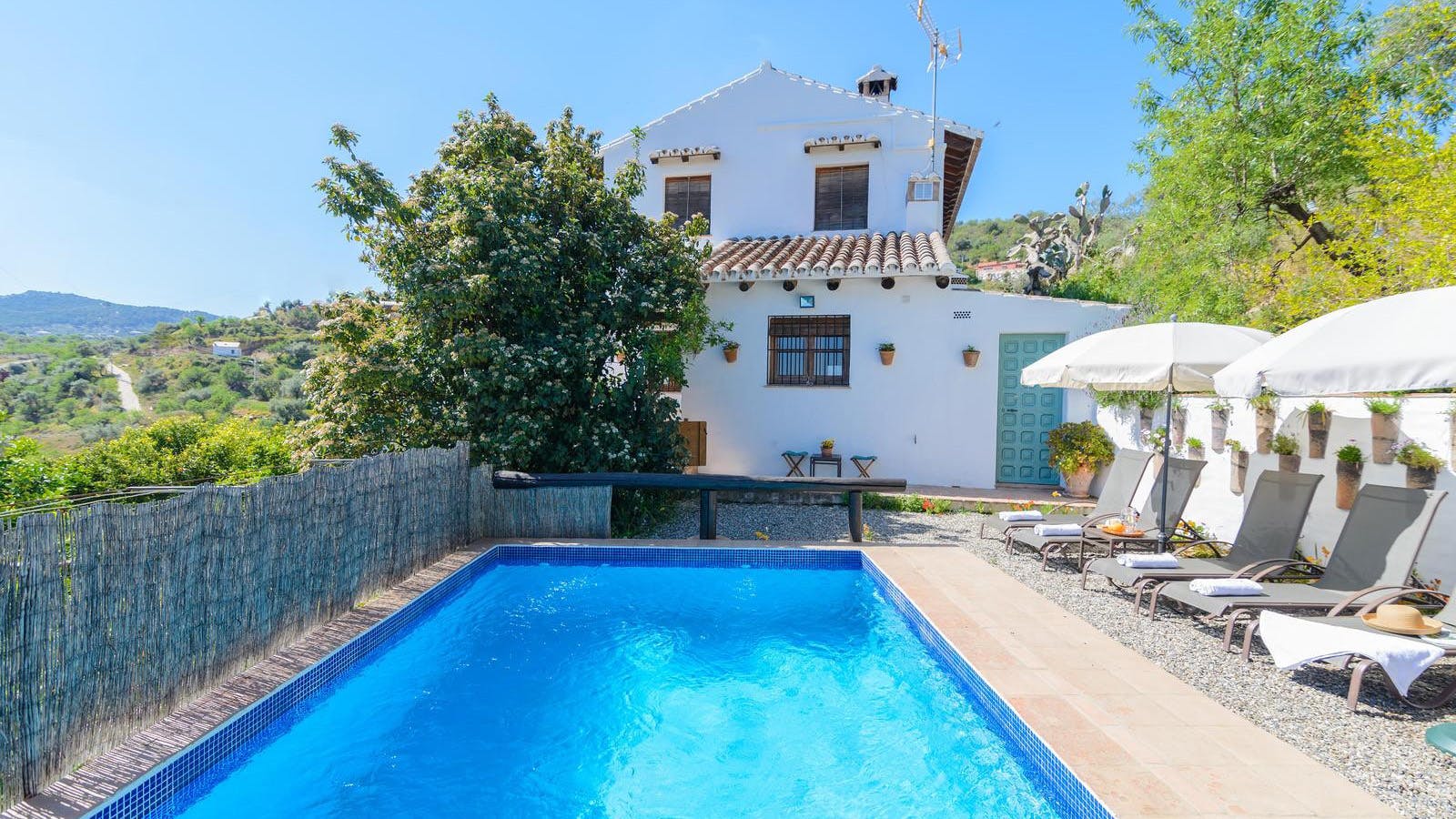 Amongst the Fruit Trees