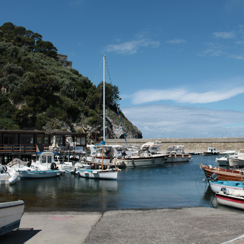 Take a boat trip from Marina Lobra, a twelve-minute drive away
