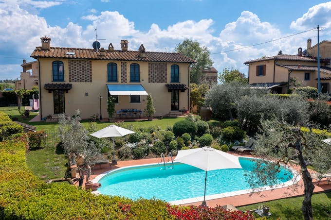 Tuscan Olive Grove