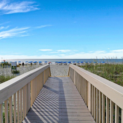 Take a fifteen-minute stroll down to Hilton Head's shores