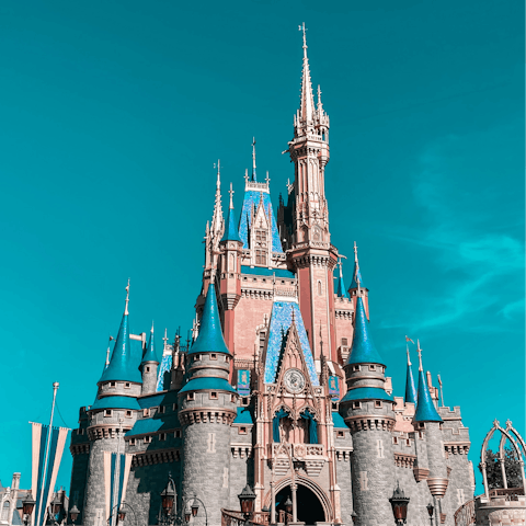 Visit the Walt Disney World® Resort, located just a short drive away, and see the famous castle