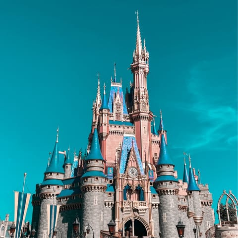 Visit the Walt Disney World® Resort, located just a short drive away, and see the famous castle