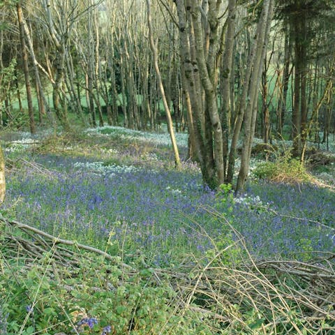 Take one of the local trails off your doorstep