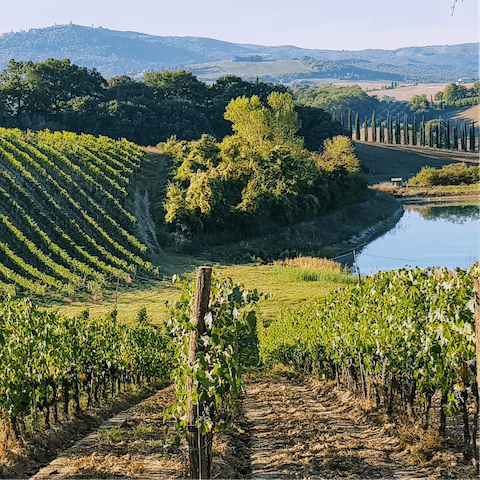 Enjoy scenic drives and long walks through the beautiful Tuscan countryside