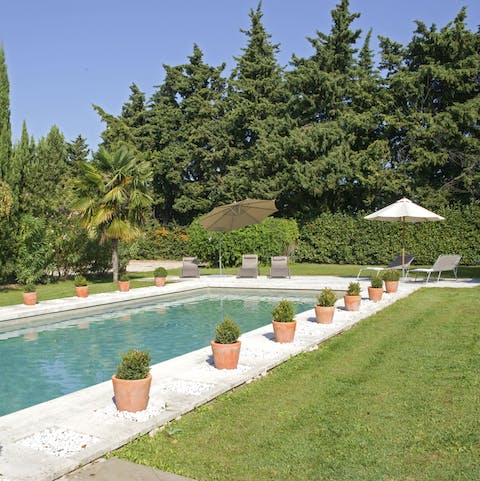 Purge your stress in this gorgeous garden pool