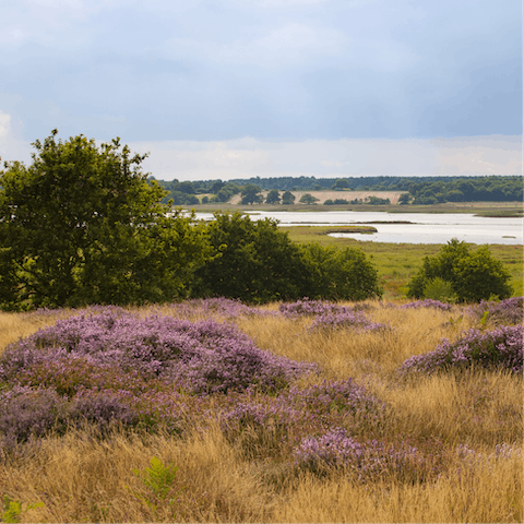 Head out and explore the Suffolk Coast and Heaths AONB that surrounds the home