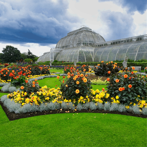 Spend a memorable day at Kew Gardens, a short walk away