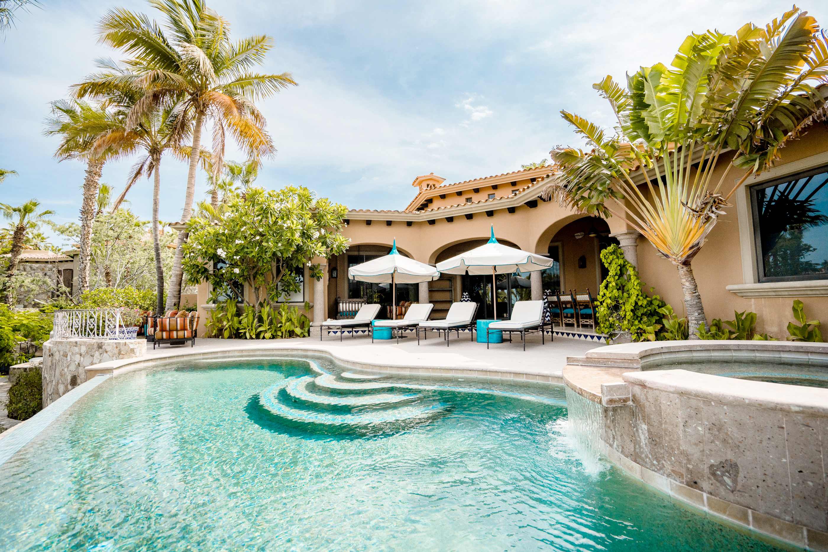 Palms Over Pool