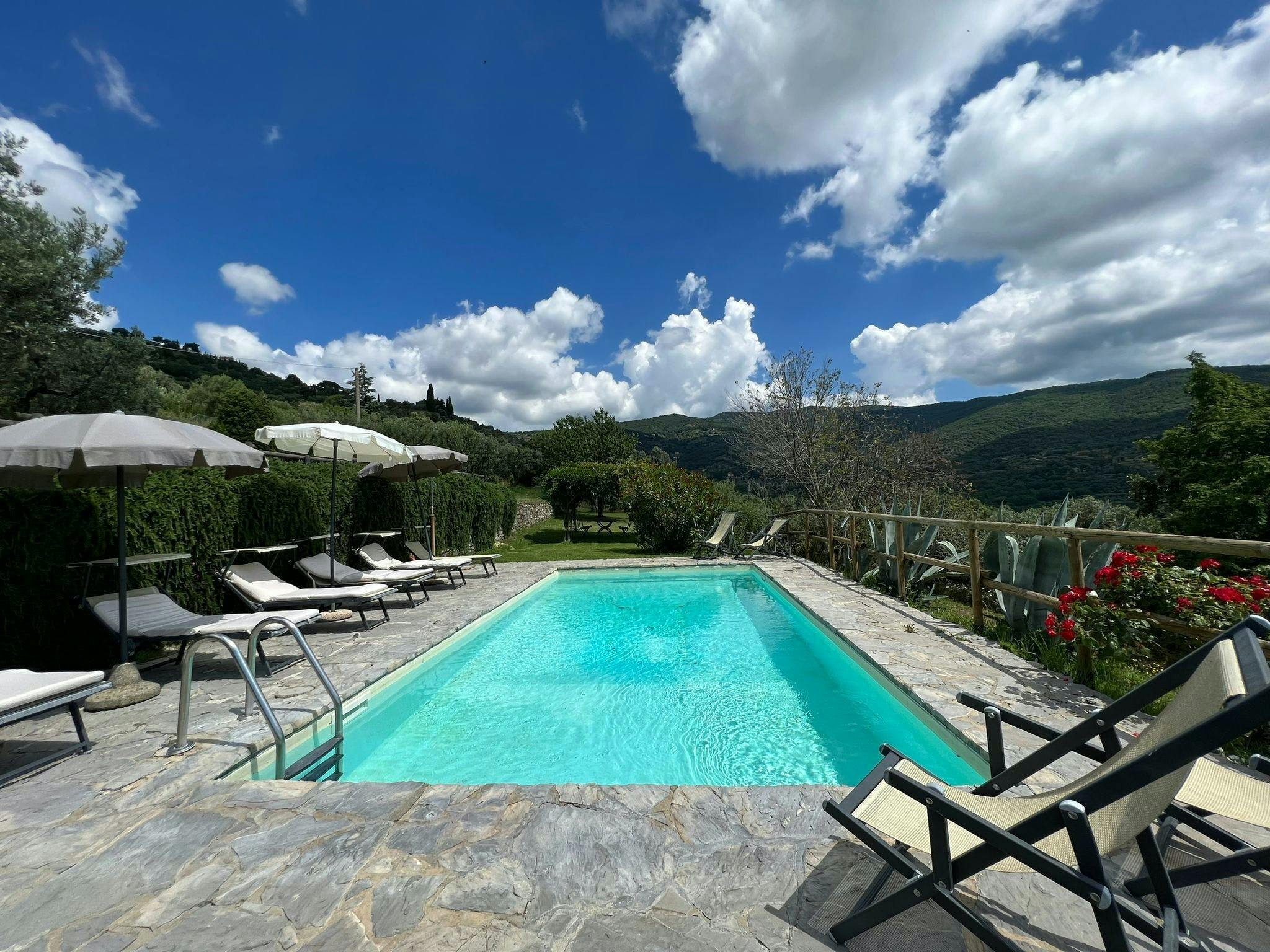 Italian Heart & Soul