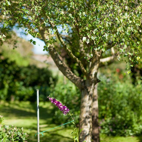 Enjoy the pretty gardens