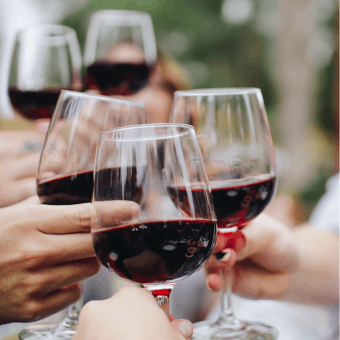 Organise a wine-tasting experience with your hosts or hire a private chef for the week