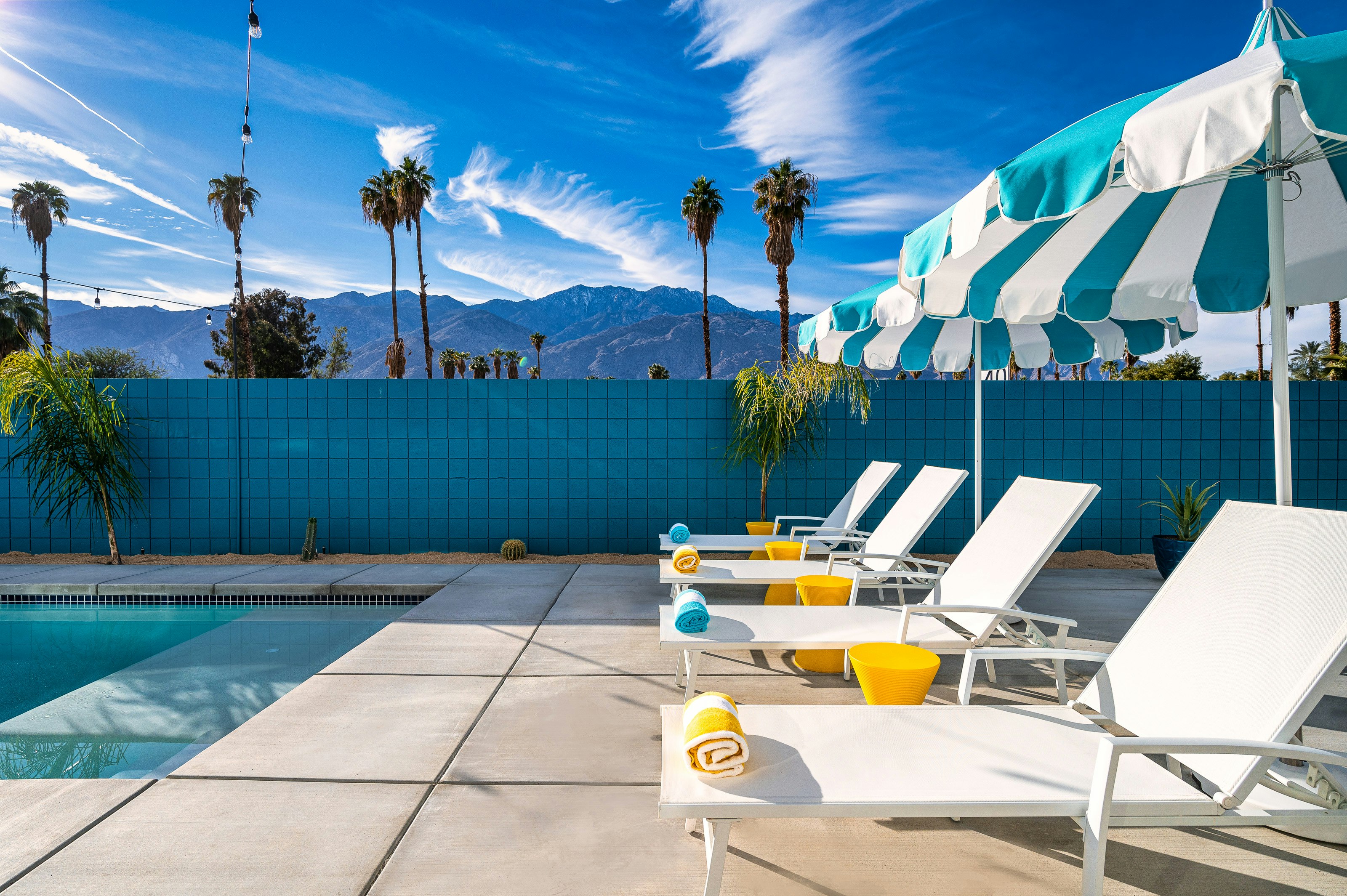 Palm Springs & Palm Trees