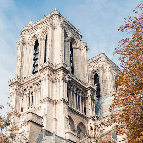 See the famous Notre Dame, a ten-minute walk away