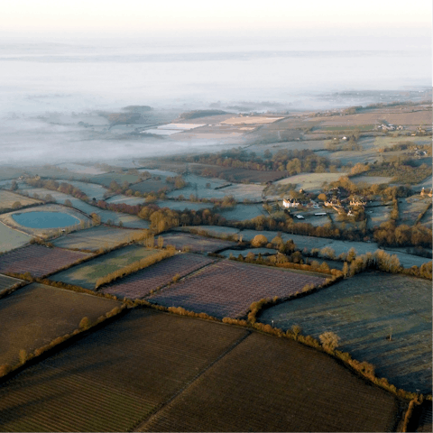 Follow hiking or cycle trails through the Kent countryside