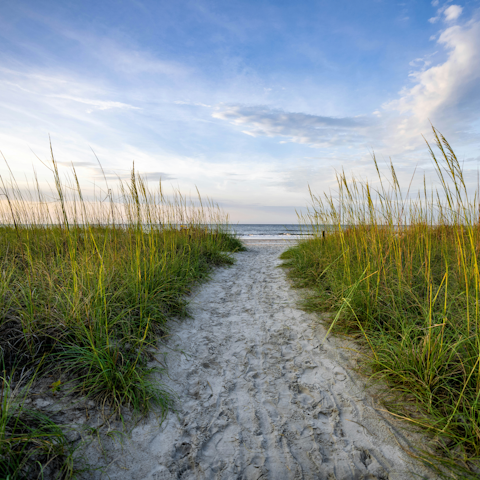 Discover the untouched beaches of Hilton Head Island