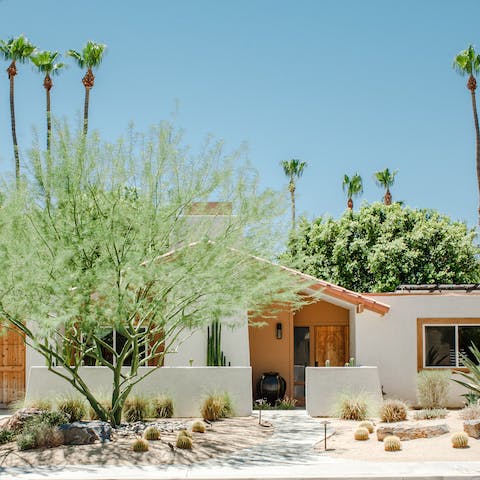 Arrive to a quintessential Palm Springs façade