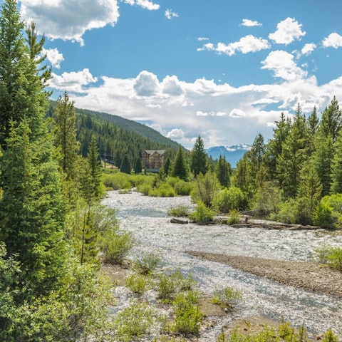 Go for a trek along Snake River and take in the vistas