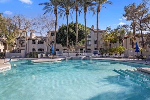 Cool off in the communal pool beneath towering palms