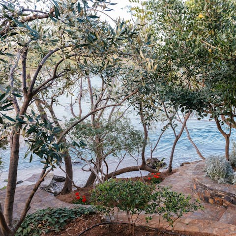 Follow the stone path through olive trees straight to the beach