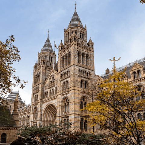 Spend afternoons exploring South Kensington's world-class museums – the Natural History Museum is a four-minute walk away