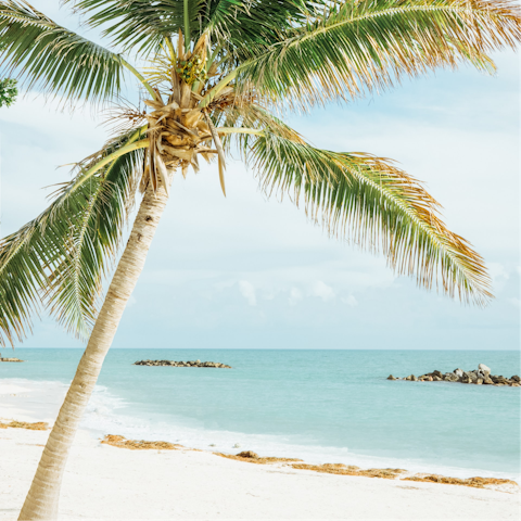 Drive less than ten minutes to Hollywood Beach