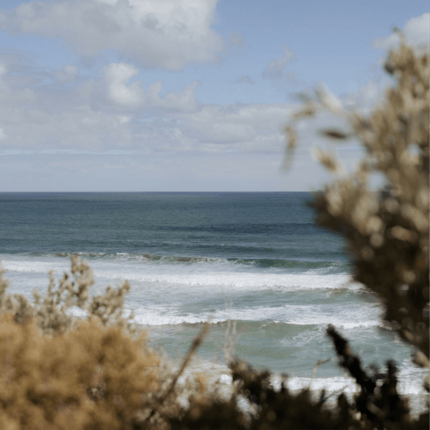 Explore the stunning coast of the Mornington Peninsula