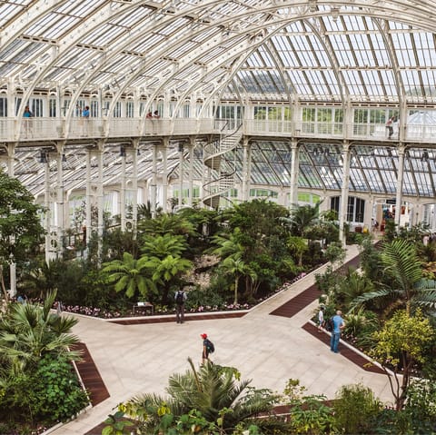 Enjoy an afternoon at Kew Gardens, not far on foot