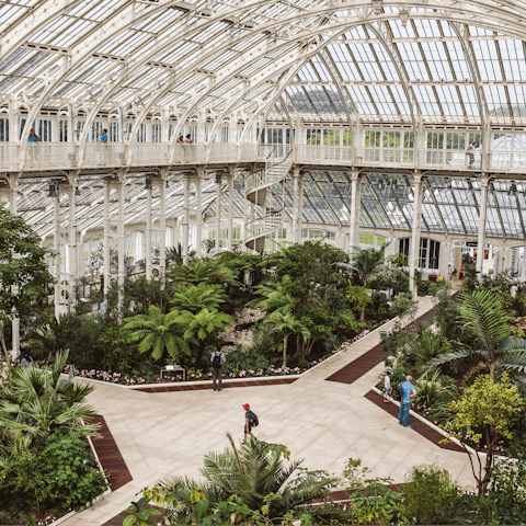 Enjoy an afternoon at Kew Gardens, not far on foot