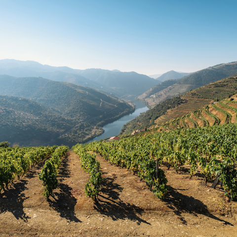Explore the beauty of the Douro Valley, right on your doorstep
