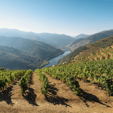 Explore the beauty of the Douro Valley, right on your doorstep