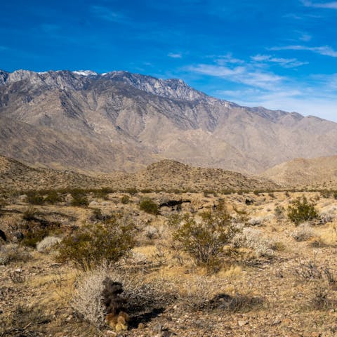 Spend your days hiking or golfing in Palm Springs