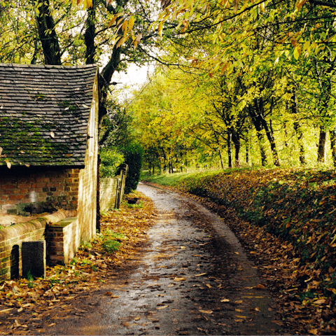Explore Hampshire, including the nearby Winnall Moors Nature Reserve