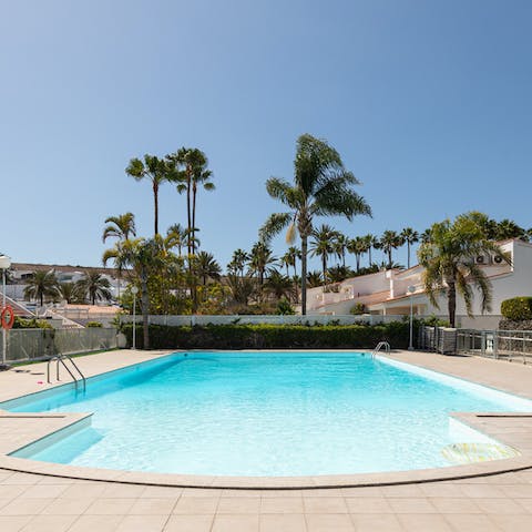 Cool off with dip in the shared pool