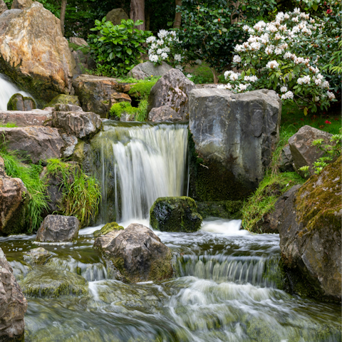 Enjoy a leisurely afternoon walk through Holland Park