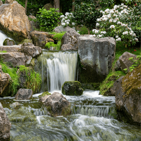 Enjoy a leisurely afternoon walk through Holland Park
