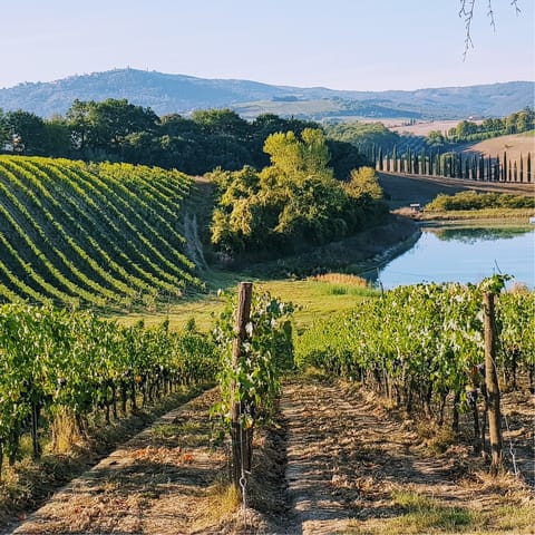 Explore the exquisite Tuscan countryside on its wonderful hiking trails