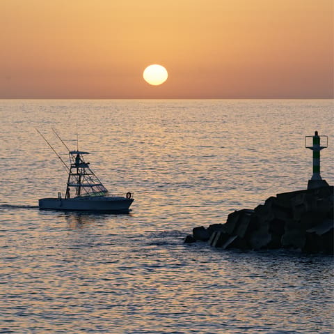 Enjoy stunning coastal views and activities with the Funchal Promenade close by