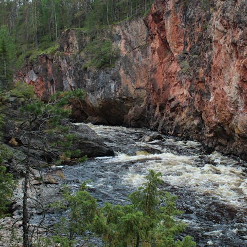 Hike through the beautiful landscapes of Sotkamo during the summer months