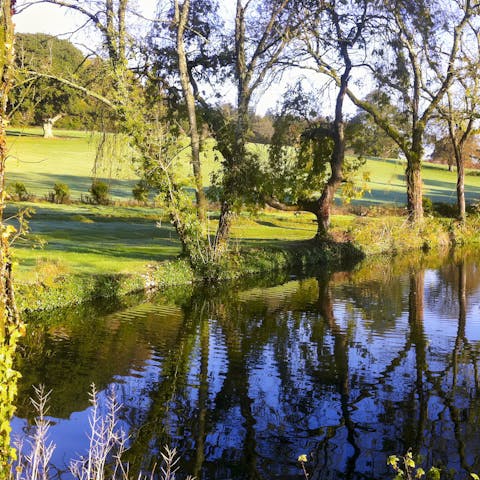 Enjoy riverside rambles within the five acres of grounds