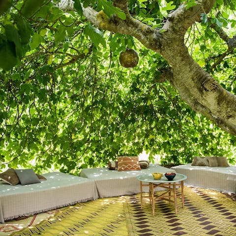 Discover tranquil spots in the garden