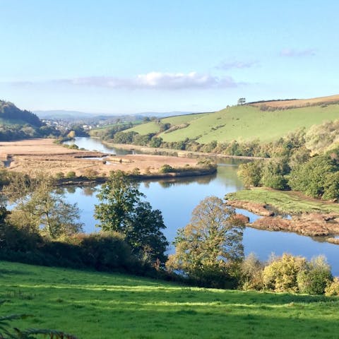 Head out for walks and explore all along the River Dart