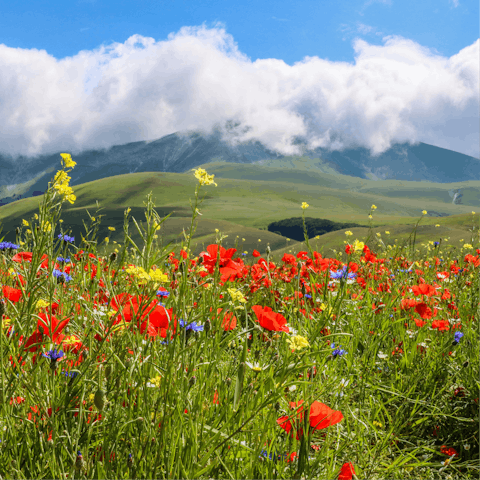 Immerse yourself in the rural beauty of Umbria