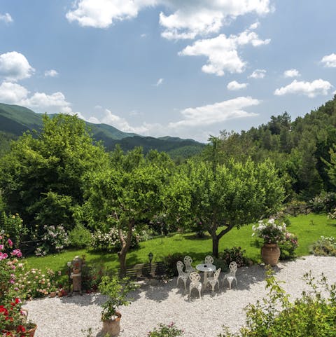 Stroll through the lush garden and get lost in nature's wonders