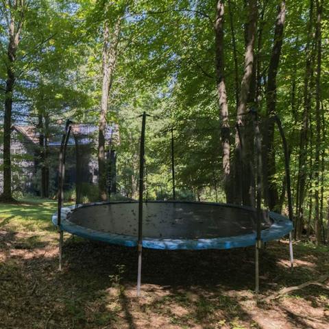 Get a closer view of the treetops with a trampoline session