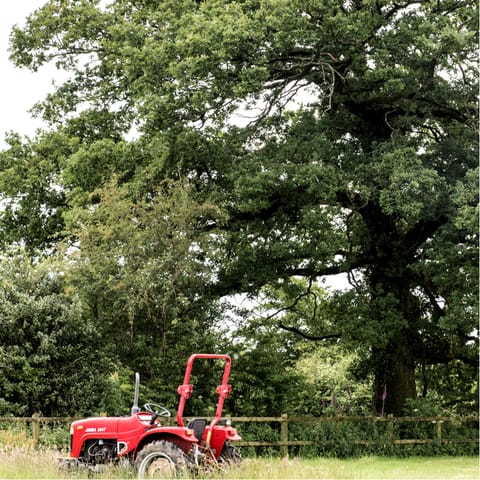 Enjoy long walks in the surrounding Norfolk countryside