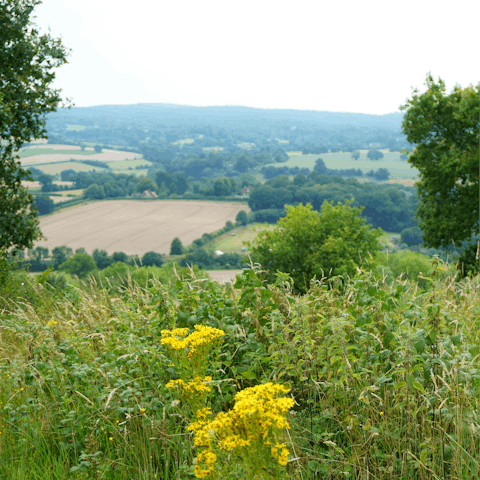Explore the High Weald Area of Outstanding Beauty