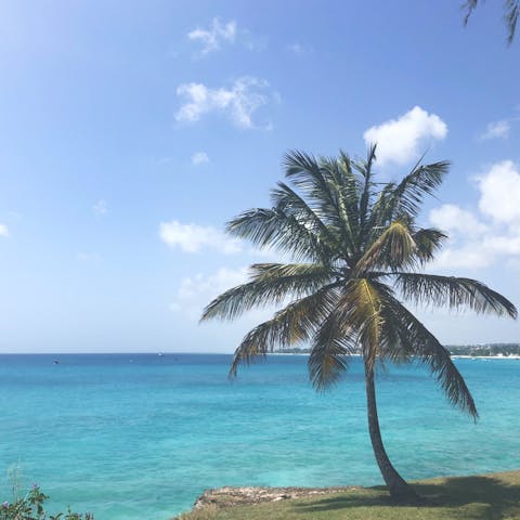 Make the six-minute drive to Holetown for a day at the beach