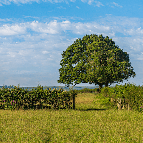 Stay in the great British countryside, near Hersham in Surrey