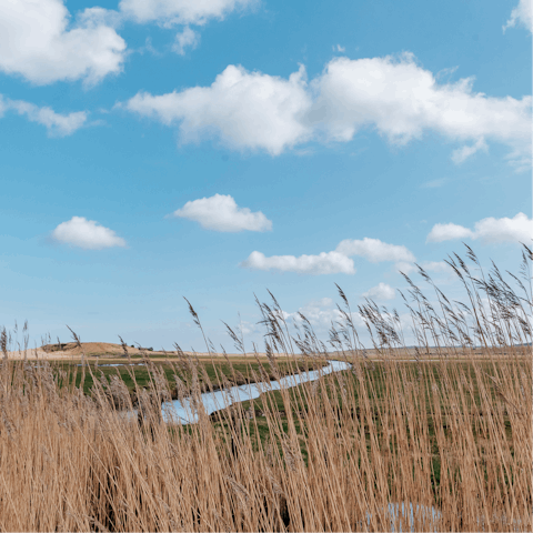 Discover the tranquil beauty of Norfolk