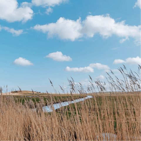 Discover the tranquil beauty of Norfolk